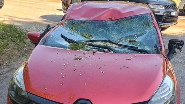 Ramo su auto, paura per madre e figlia