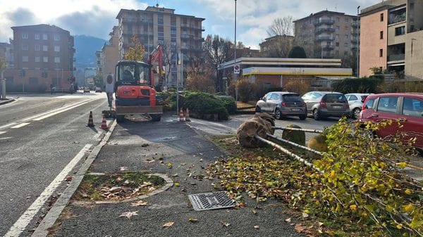 Spesi 60mila euro per il verde. E i ciliegi restano “congelati”