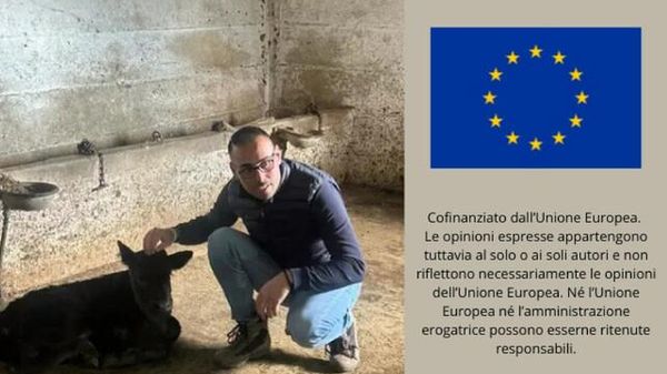 Immagine per ansa-d0b8e1bc-3121-4691-85b1-093a46013986