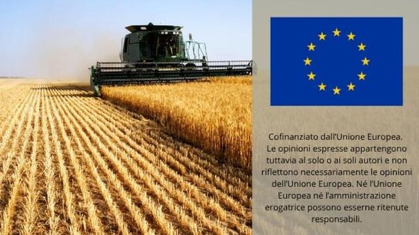 Immagine per ansa-8b5208e0-0b2c-4154-bcfb-282bfde413a6