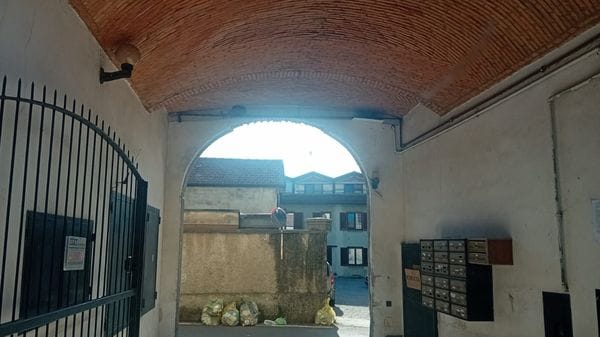 Devastati i nidi delle rondini, l’ira del Wwf: «È una specie protetta»