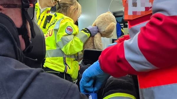 Incidente in A9, i vigili del fuoco recuperano l’orsacchiotto tra le lamiere: l'emozione del bimbo 