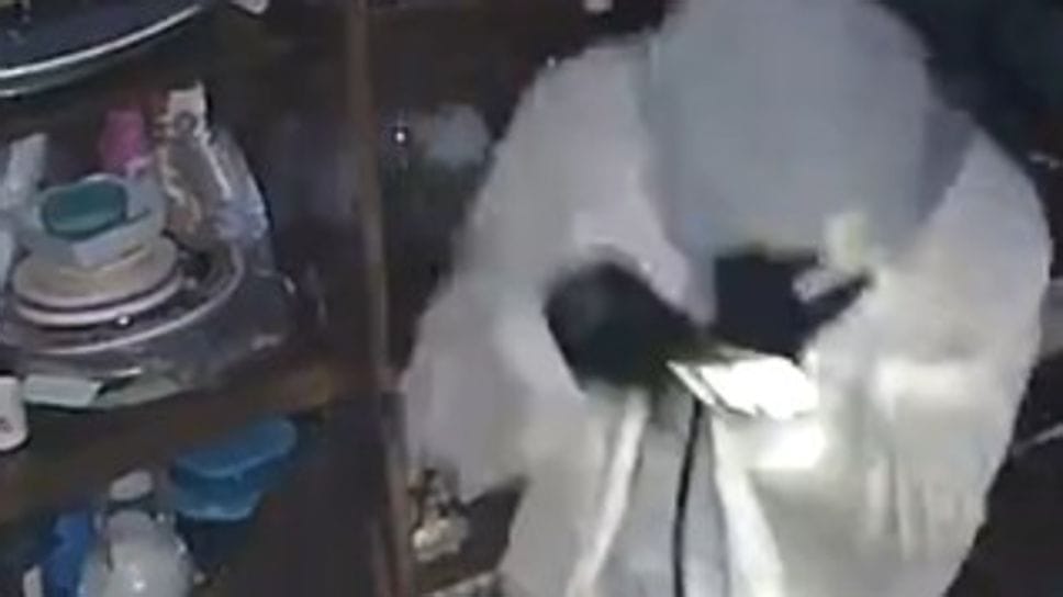 Diciassette case svaligiate in 10 giorni. A processo la banda che stava nel b&b