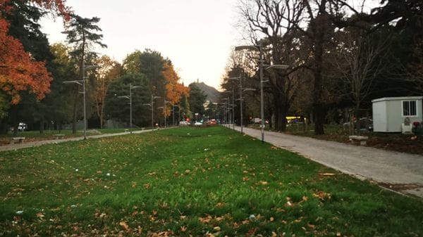 Giardini a lago, i ciliegi non saranno ripiantumati. Rapinese: «Scelta del centrodestra, non mia»