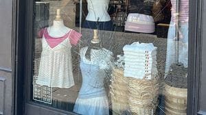 Vetrina danneggiata nella notte in piazza Volta. La titolare: «Serve rispetto»