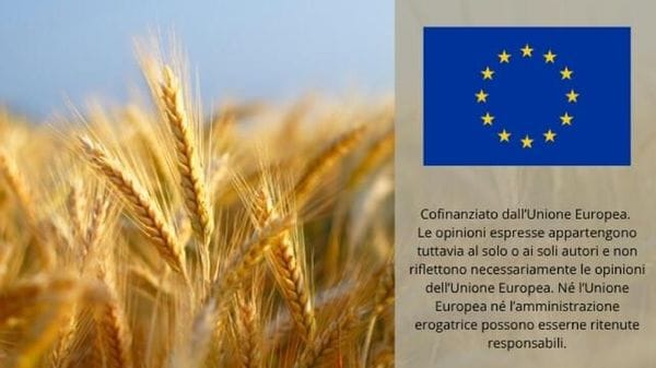 Immagine per ansa-caae4a93-7aed-4433-b6bf-bdc7422e7555