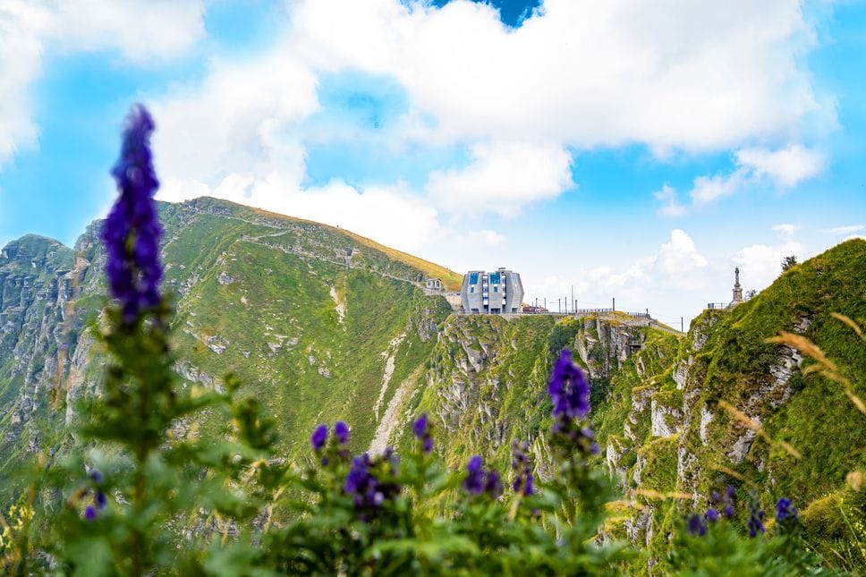 Sul Monte Generoso, l’estate è servita: eventi, natura e sapori a due passi da Como