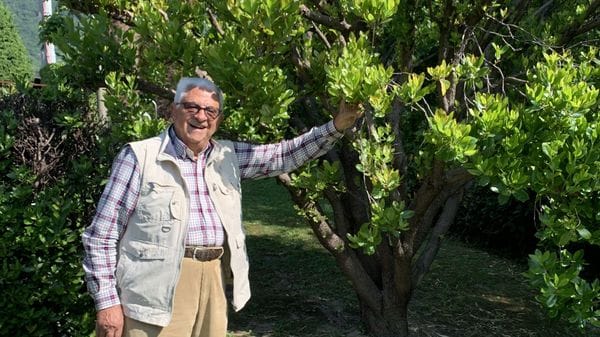L’ex maresciallo che ha creato un bosco sardo