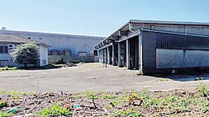 Centro di cottura, cantiere al palo 