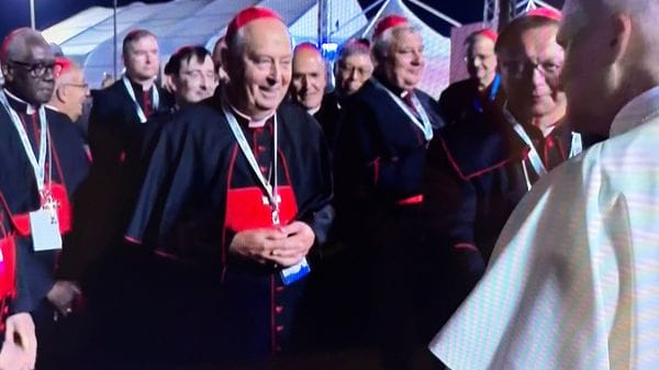 Cantoni un anno dopo il Conclave: «Da Leone l’invito all’unità»