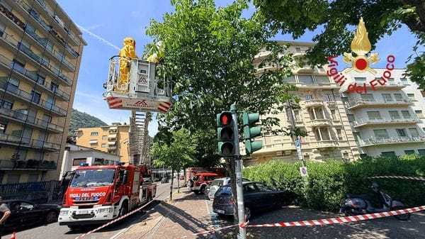 Allarme api a Como, arrivano i Vigili del Fuoco