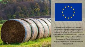 Immagine per ansa-c79d3e42-2363-49e5-8a2e-4284192c676a