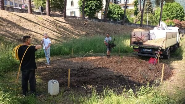 All’istituto scolastico Aldo Moro arriva il “Giardino delle Api”