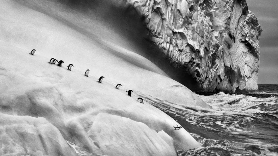 Omaggio a Salgado un anno dopo: “Ghiacciai” come poesie in bianco e nero