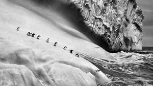 Omaggio a Salgado un anno dopo: “Ghiacciai” come poesie in bianco e nero