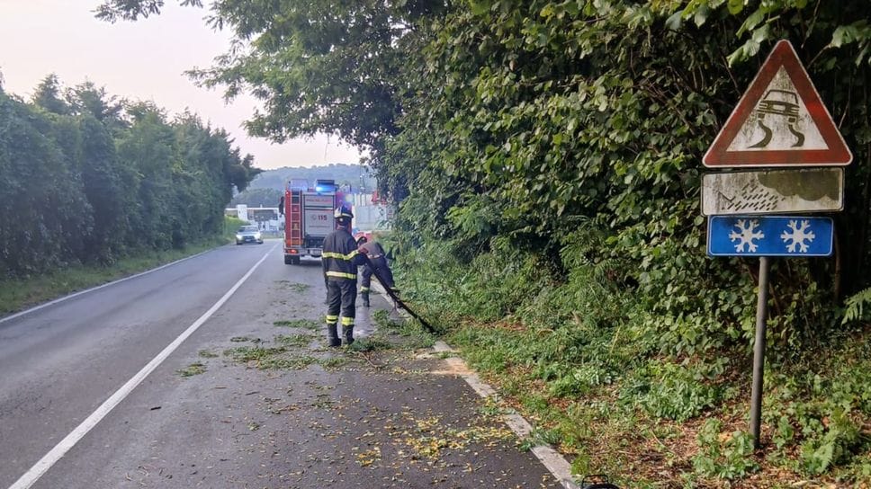 Temporale notturno sul Comasco: vigili del fuoco impegnati con rami e alberi pericolanti