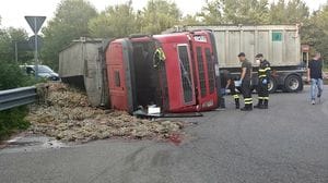 Turate, si ribalta camion che trasporta carcasse di animali: ferito il conducente