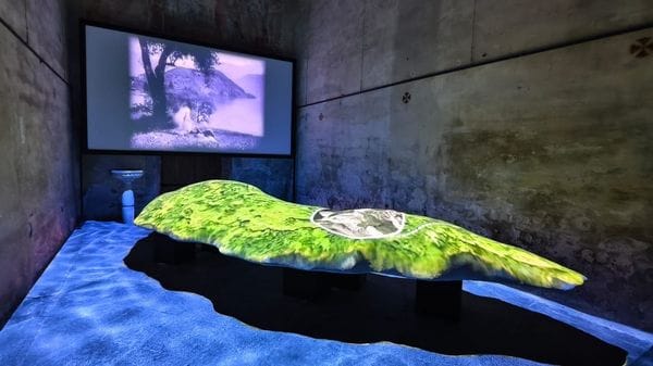 Un’estate sull’Isola di Hitchcock: l’installazione e il documentario