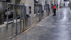 Acinque, l’energia sposa la scienza