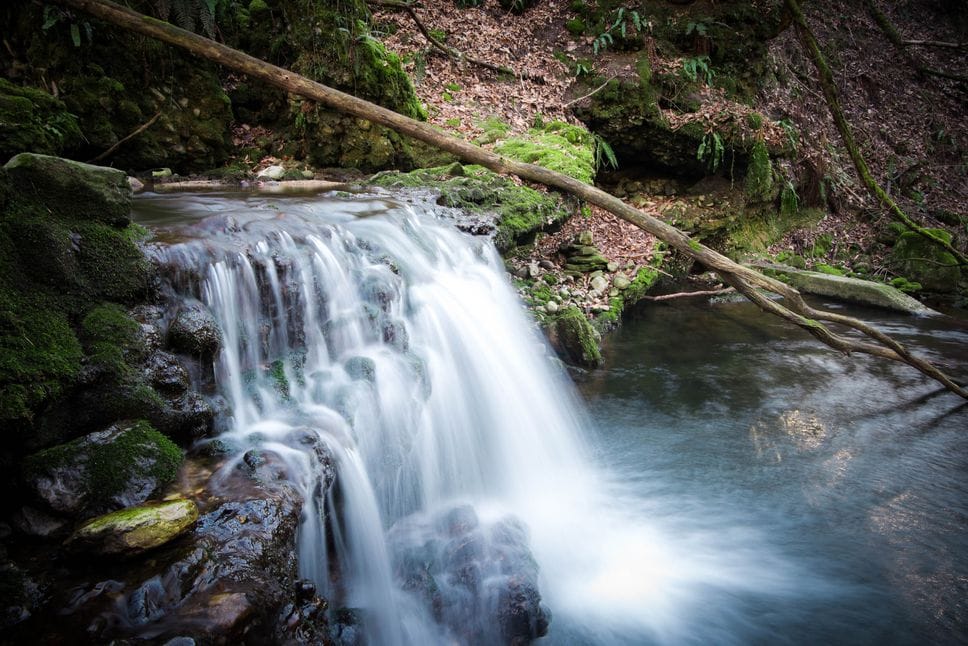 Una preghiera laica per sorella acqua
