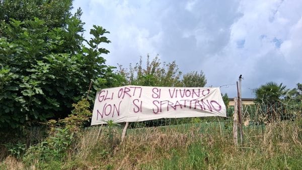 Gli ambientalisti sugli orti sgomberati: «Giusto, concessioni scadute, ma bisognava tentare la strada del dialogo»