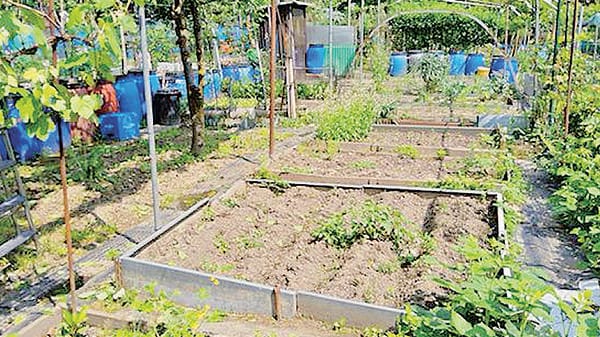 Orti di Rebbio, tregua senza lucchetti. Il Comune promette un nuovo parco