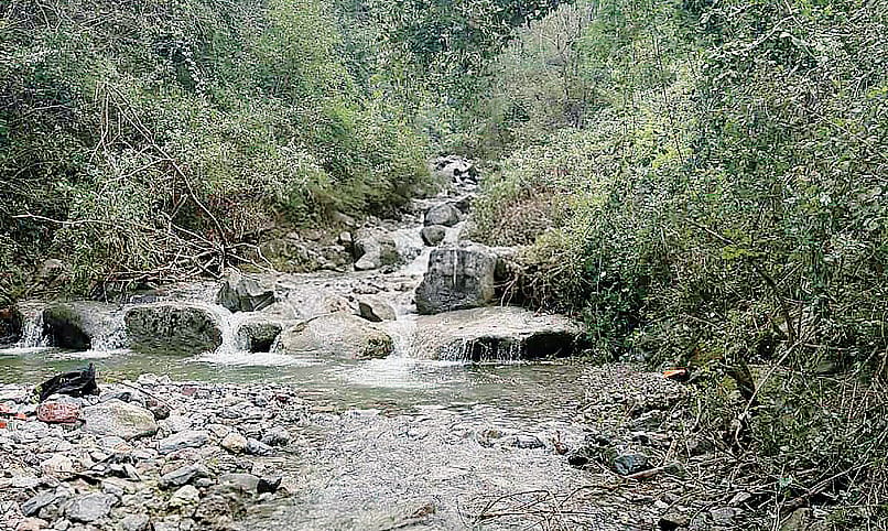 Valle Bova, parchi, piscina e biblioteca. Guida ai luoghi più freschi della città