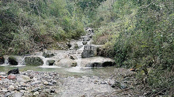 Valle Bova, parchi, piscina e biblioteca. Guida ai luoghi più freschi della città