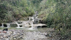 Valle Bova, parchi, piscina e biblioteca. Guida ai luoghi più freschi della città