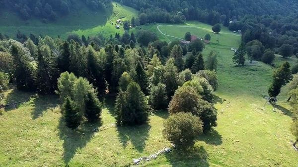 Arte e natura per salvare il Monte San Primo 
