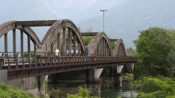 Ponte del Passo, lavori spostati ad agosto. Il motivo? Lasciar nidificare le rondini