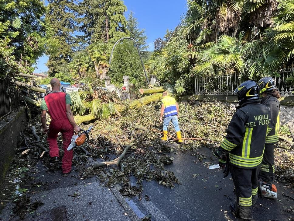 Temporali in arrivo: sul lago strade grandine e a Erba una pianta colpisce un furgone. Allerta gialla per tutta la giornata
