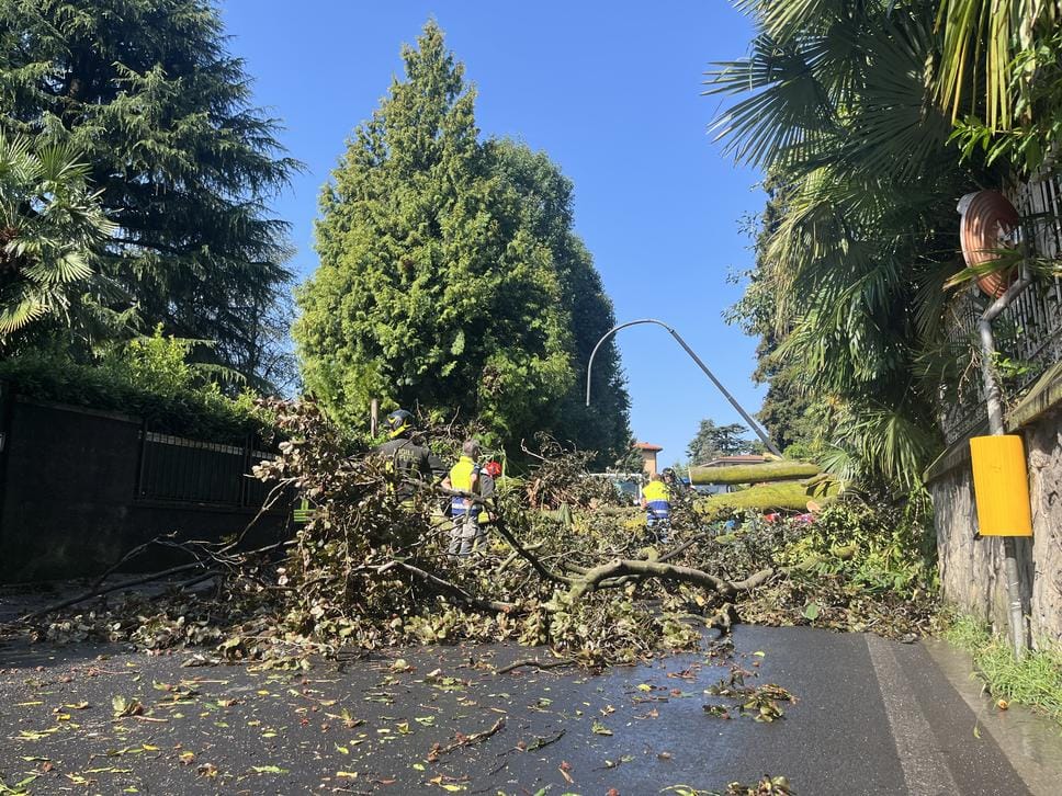 Temporali in arrivo: sul lago strade grandine e a Erba una pianta colpisce un furgone. Allerta gialla per tutta la giornata