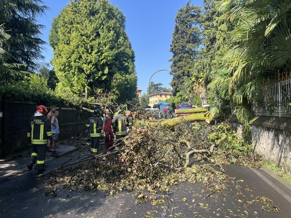 Temporali in arrivo: sul lago strade grandine e a Erba una pianta colpisce un furgone. Allerta gialla per tutta la giornata