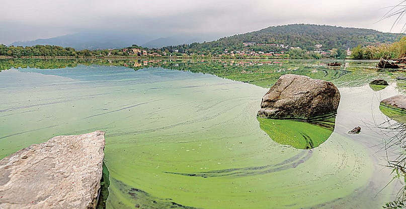 Boe e ultrasuoni per eliminare le alghe. Così il lago non si tingerà più di verde