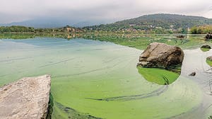 Boe e ultrasuoni per eliminare le alghe. Così il lago non si tingerà più di verde