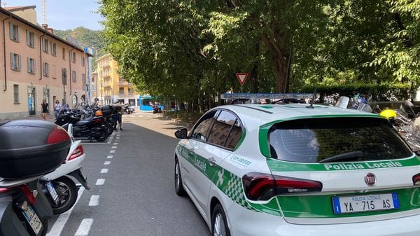 Cadono rami nel parcheggio del Tribunale: nessun ferito o danno