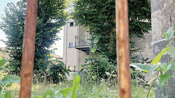 L’ex scuola dimenticata a Lora: erbacce e ruggine da dieci e lode