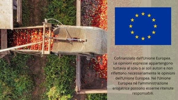 Immagine per ansa-f9491797-eaae-4618-85ca-39df3964eda5