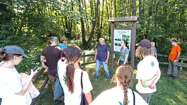 Al lavoro tra le fronde della Brianza comasca: giovani volontari da sette paesi