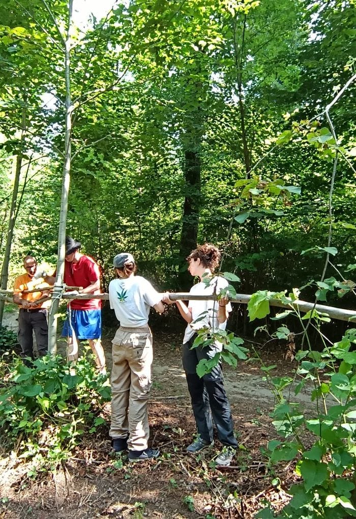 Al lavoro tra le fronde della Brianza comasca: giovani volontari da sette paesi