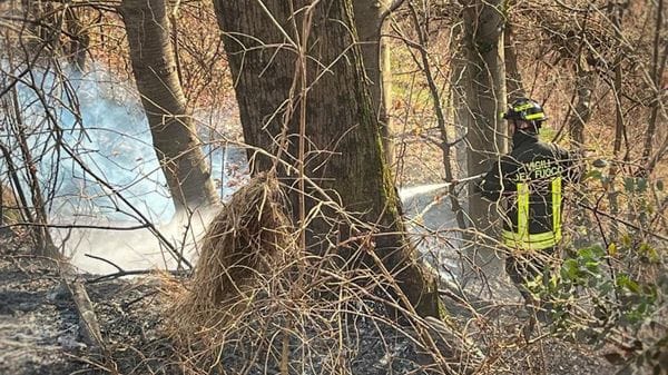 «Alto rischio di incendi boschivi»: l’allerta dell’amministrazione provinciale