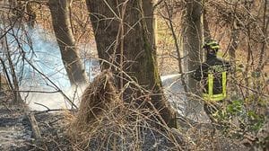 «Alto rischio di incendi boschivi»: l’allerta dell’amministrazione provinciale