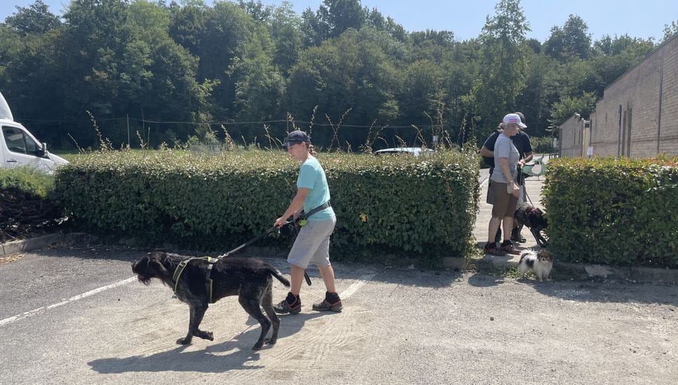 Senna Comasco, in arrivo una nuova area cani