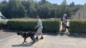 Senna Comasco, in arrivo una nuova area cani