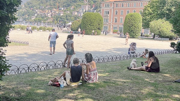 Alberi contro il caldo? Pochissimi, Como è ultima in Lombardia
