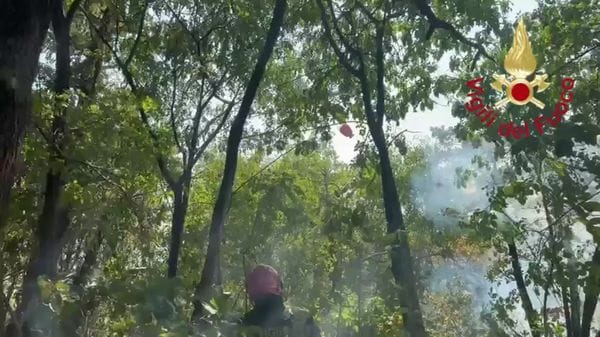 Fiamme e fumo sul Monte Goi, incubo senza fine dopo il Moregallo (VIDEO)