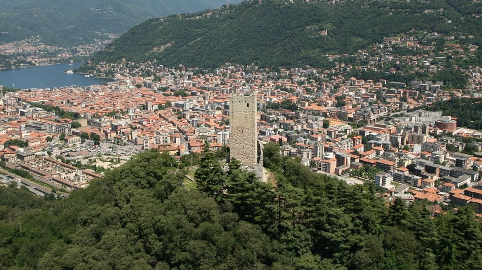 Pochi alberi in città? «I boschi non ci bastano»