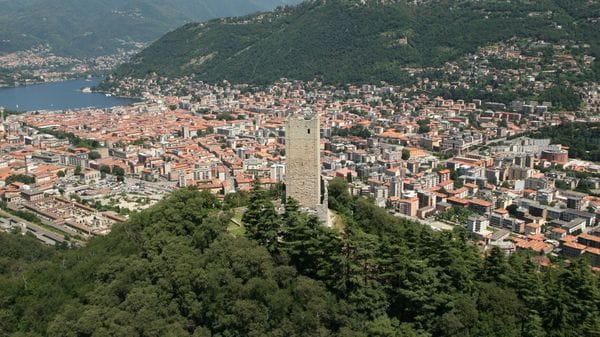 Pochi alberi in città? «I boschi non ci bastano»
