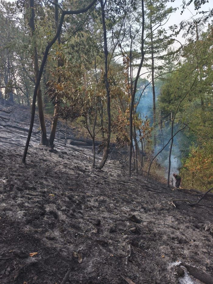 A 40 metri dalle fiamme del Monte Goj: «L’acqua della cisterna ha fatto la differenza»